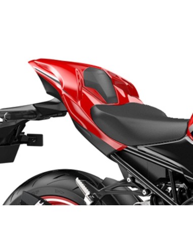 Capot de Selle Passager pour Kawasaki Z900 - Transformez votre Moto avec Élégance