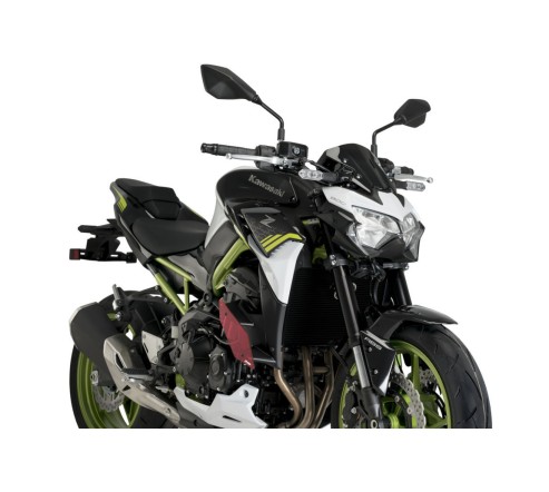 Ailerons Latéraux Z900 - Style et Performance pour une conduite améliorée.