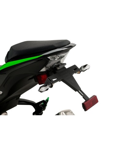SUPPORT DE PLAQUE KAWASAKI Z900